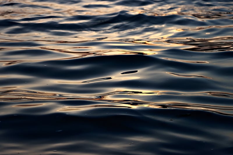 Ripple